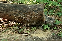 Bulgaria 2008 760
