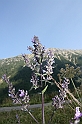 Bulgaria 2008 845
