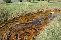 Bulgaria 2008 959