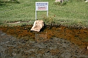Bulgaria 2008 962