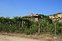 Bulgaria 2008 1027