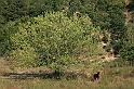Bulgaria 2008 1029