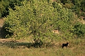Bulgaria 2008 1047