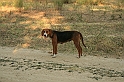 Bulgaria 2008 1049