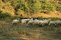 Bulgaria 2008 1050