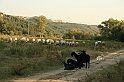 Bulgaria 2008 1056