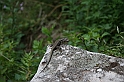 Bulgaria 2008 118