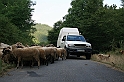 Bulgaria 2008 122