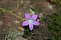 Bulgaria 2008 168