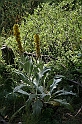 Bulgaria 2008 310