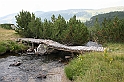 Bulgaria 2008 316
