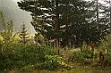 Bulgaria 2008 349