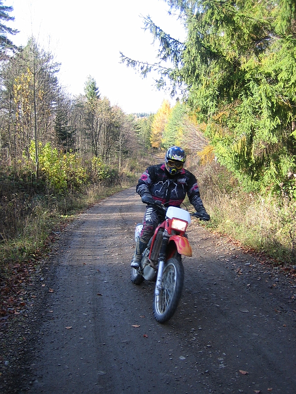 Marc1103-121628
