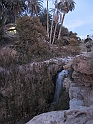 IMG_4555