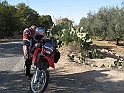 IMG_4593