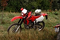 wys1