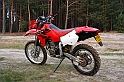 wys5