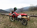 IMG_0524