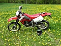 IMG_0650