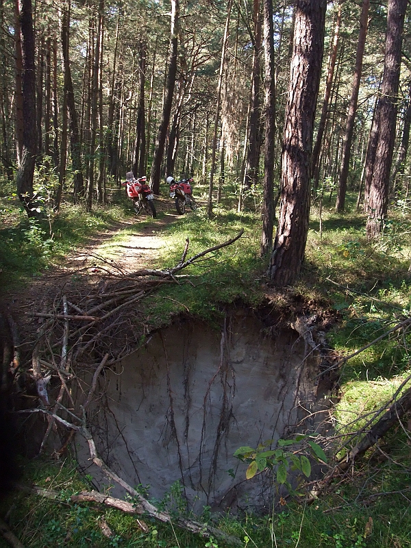 DSCF1362