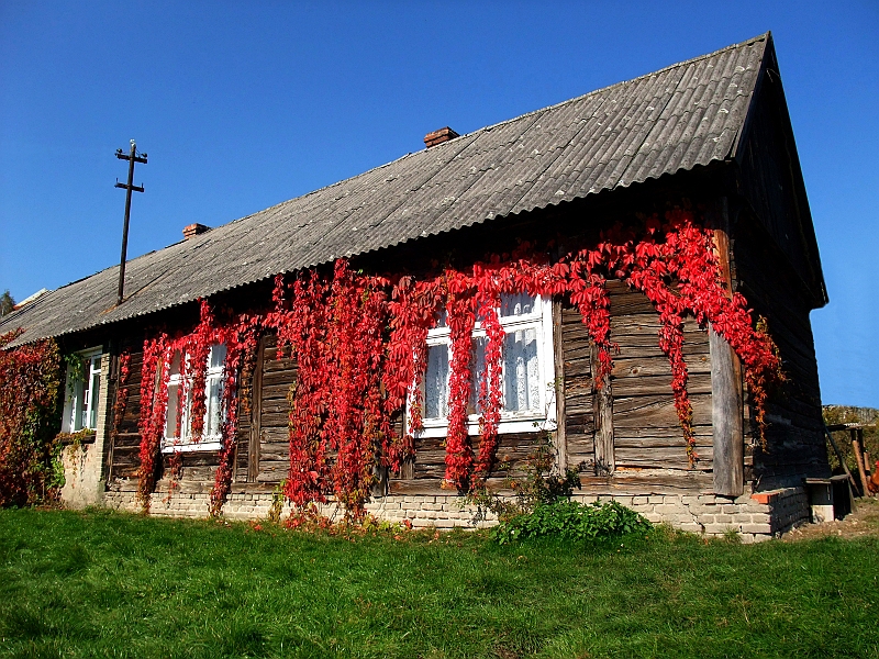 DSCF1384