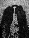 DSCF1358