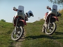 DSCF1360
