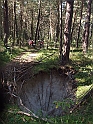 DSCF1362