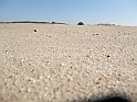DSCF1373
