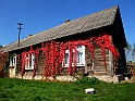 DSCF1384