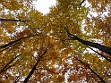P1000027