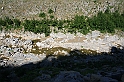 Albania 2008 101